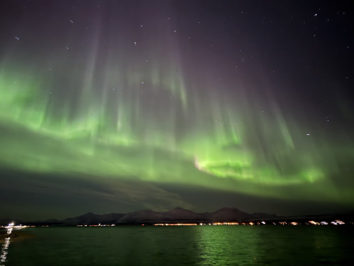 blublublu tweet media