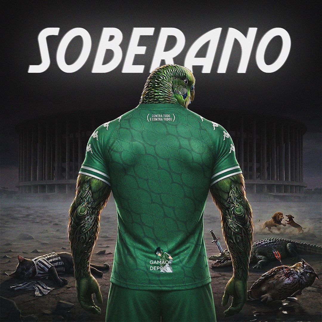SOBERANO! ABSOLUTO! VAMOS PARA O MANÉ! 💚✅🇳🇬