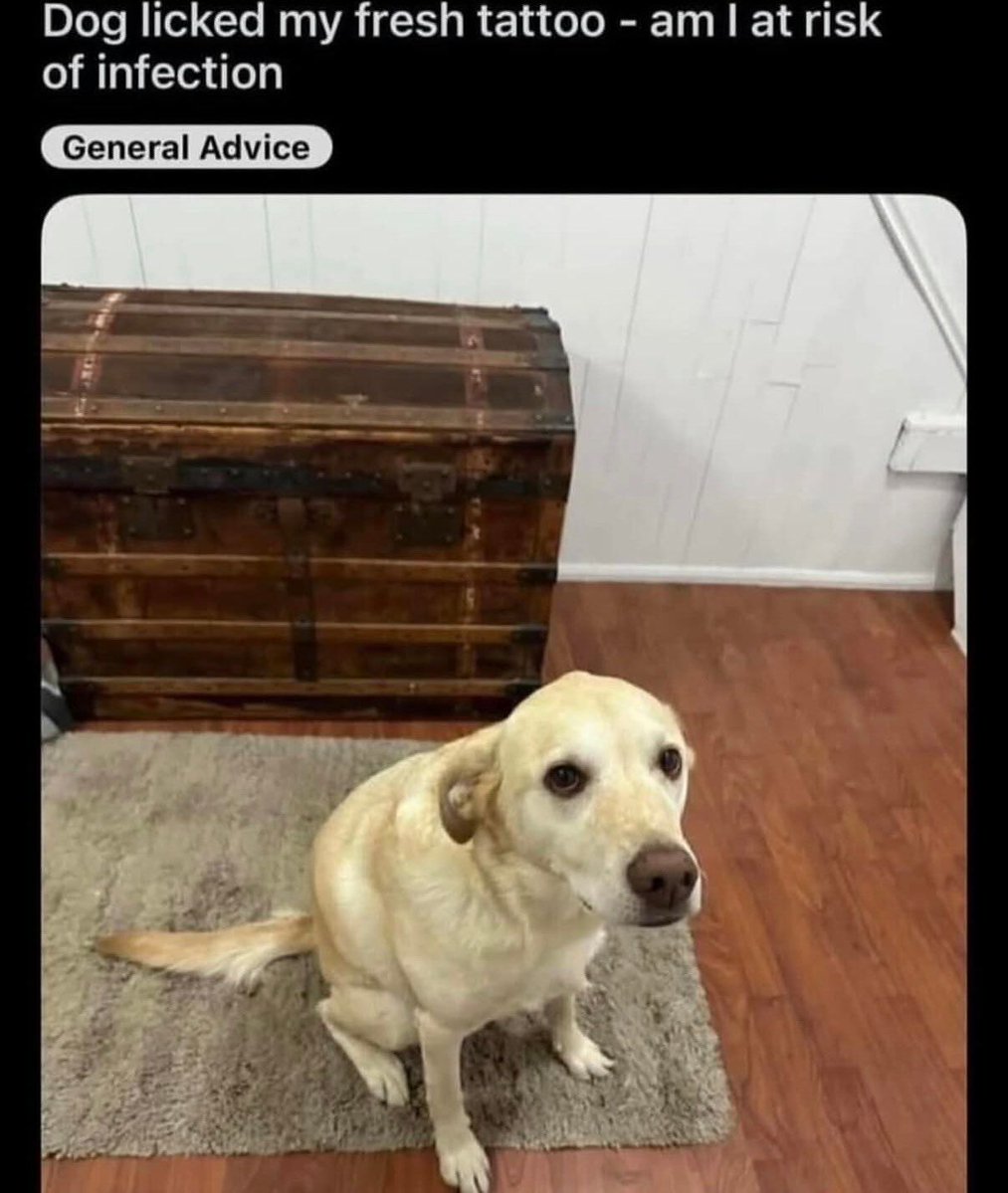 no context memes tweet media