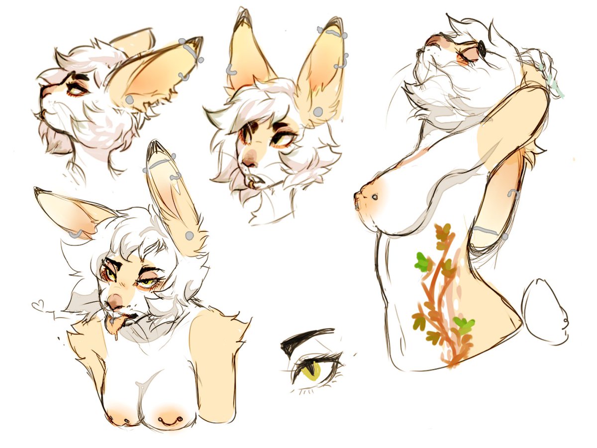 The Firefly Machine tweet media