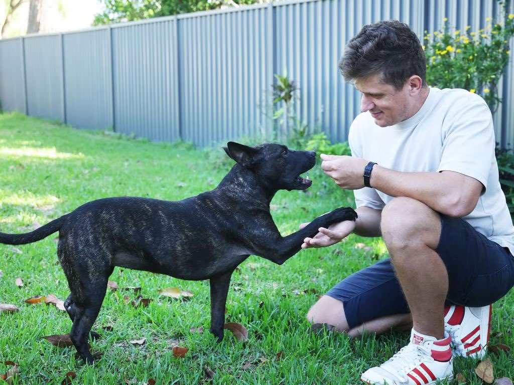 forallcurious's tweet photo. JUST IN🚨: Australian man cures his dog’s cancer by uploading its DNA to ChatGPT to design a custom vaccine from scratch. https://t.co/mej2E1p0OO
