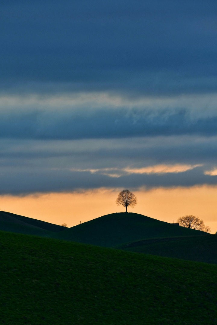 matadornetwork tweet media