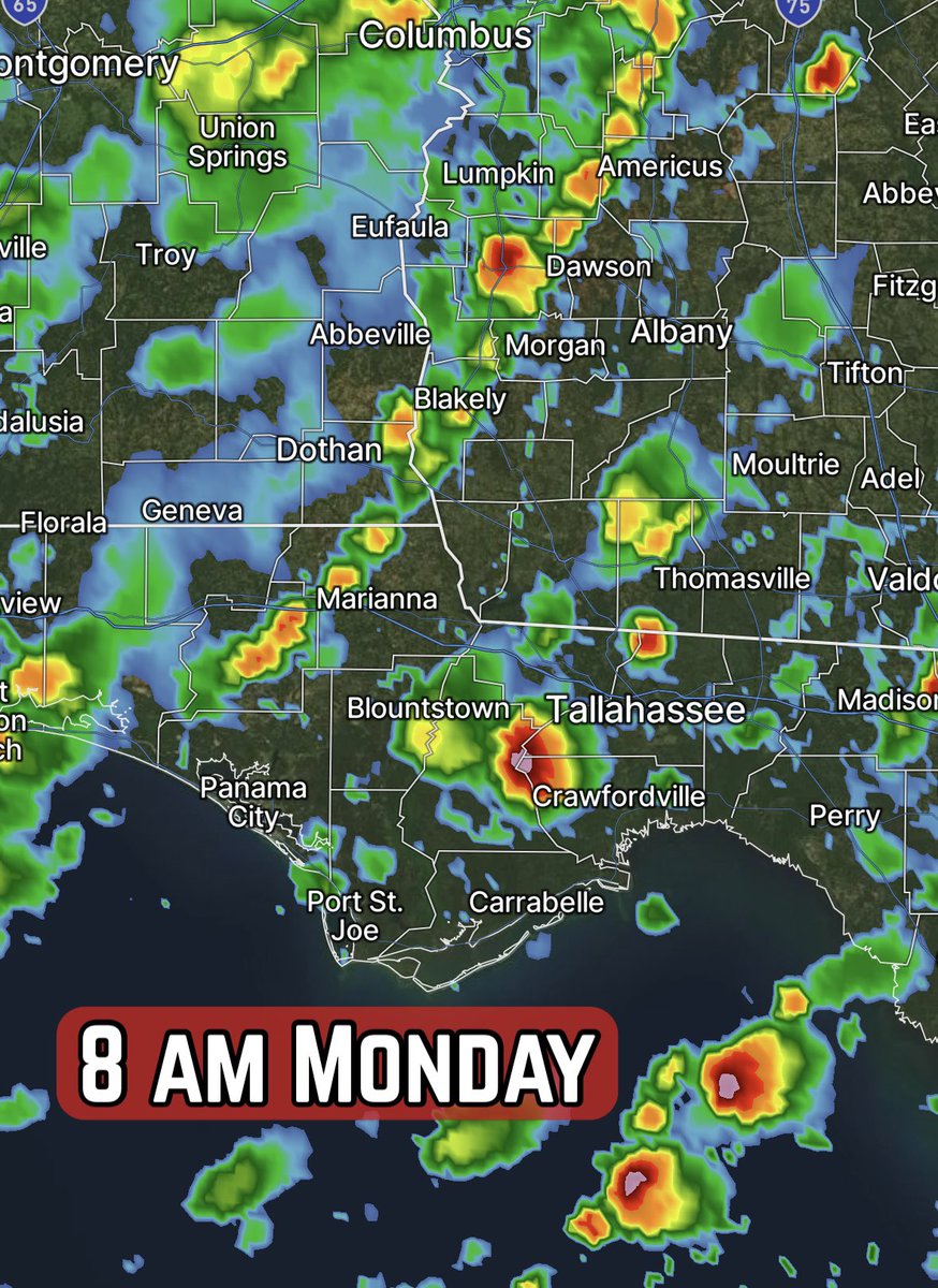 David Paul tweet media