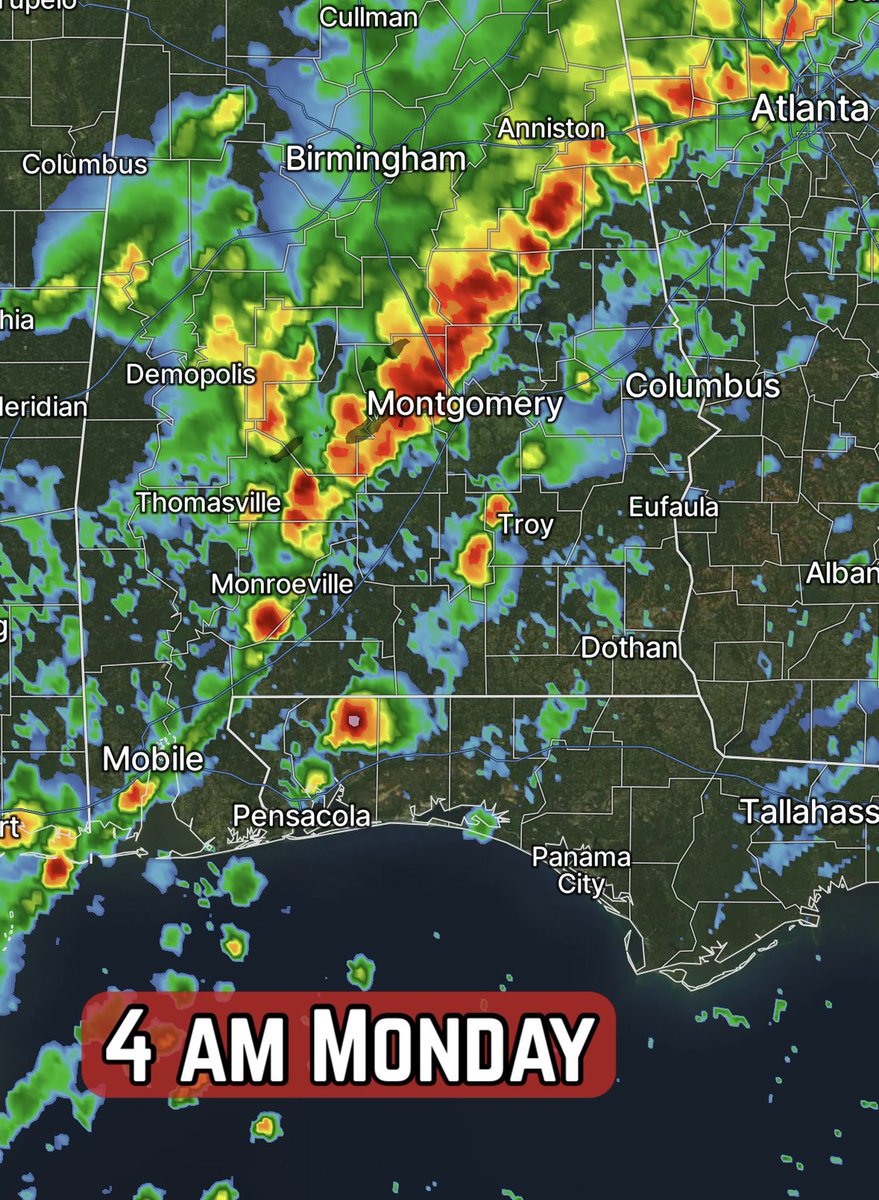 David Paul tweet media