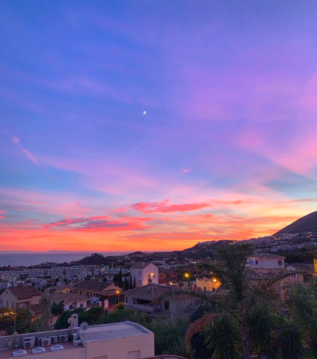 The Love Architect tweet media