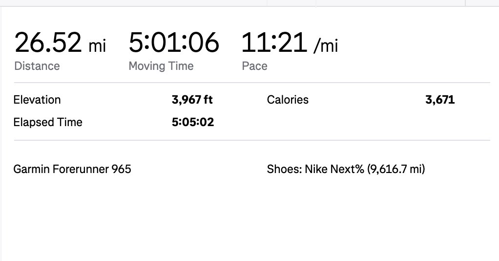 Domain Shane tweet media