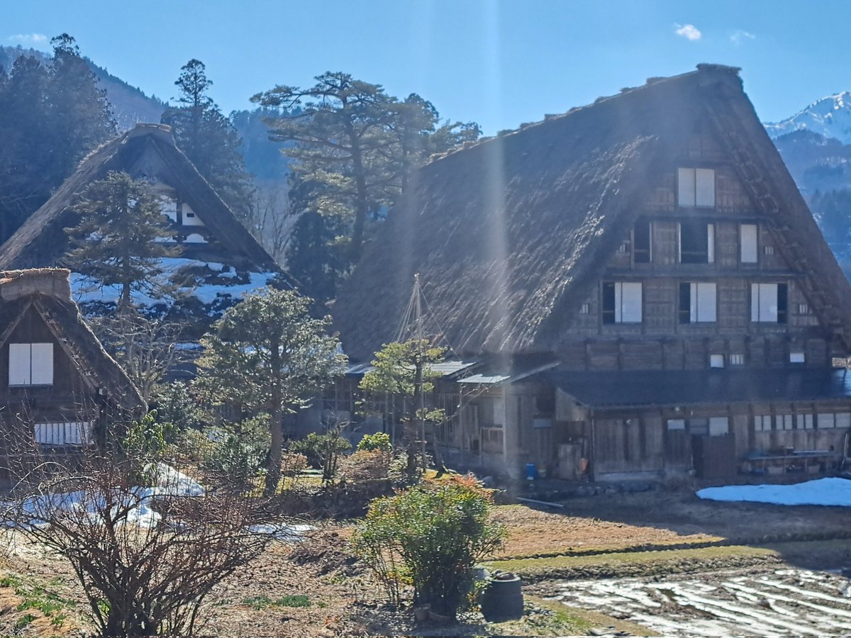 CafeShingedo's tweet photo. 白川郷　喫茶 心花洞
ロスアンジェルスから上品な2組のご夫婦💕なんでも，昔ハリウッドの衣装担当のお仕事をしていたらしく，ステキな方々でしたよ✨⛄☕✨
散策が心地よいこの季節、
ほっとひと息つきたくなったら心花洞へ。あたたかいお飲み物とともに、
ゆったり流れる時間をお過ごしください☕✨ https://t.co/ToJPt8UklA