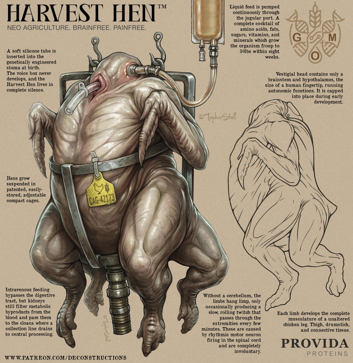 Why does this inspire such disgust and conflict in us? 

It's hard to argue that this solution isn't better. Better a brainless sack of protein than a living creature capable of pain, longing to see the sky but forced to live in hideous lifelong bondage.  
So why does the Harvest