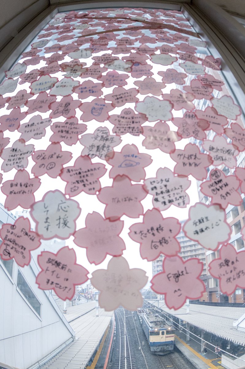 のっぽ tweet media