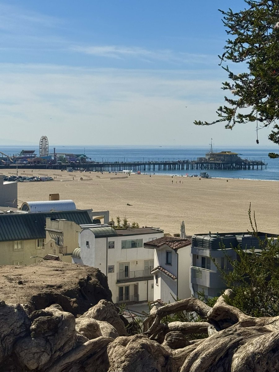 Tom Hall ☘️ tweet media