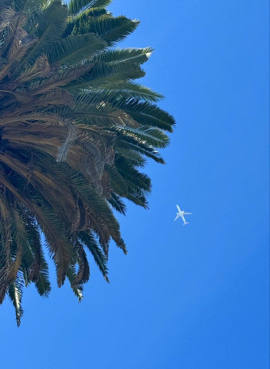 Tom Hall ☘️ tweet media