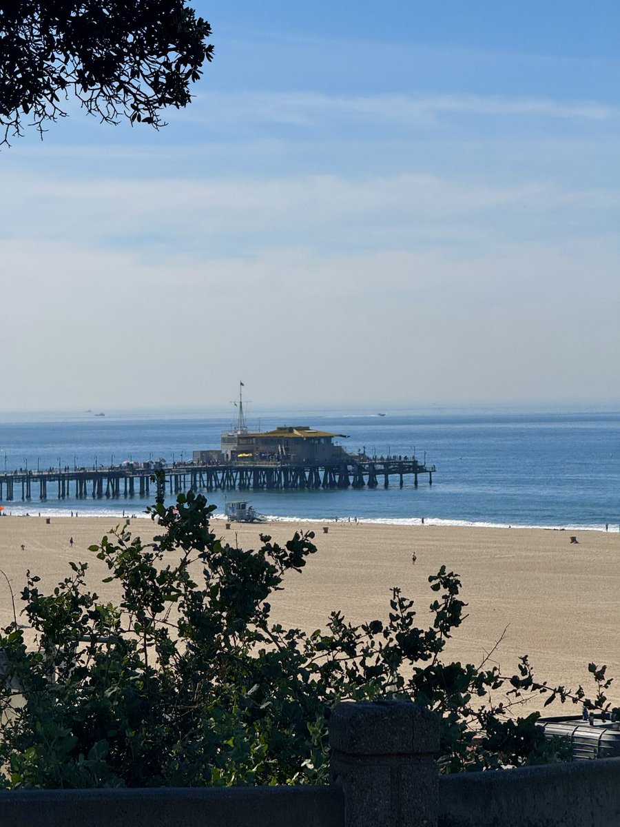 Tom Hall ☘️ tweet media