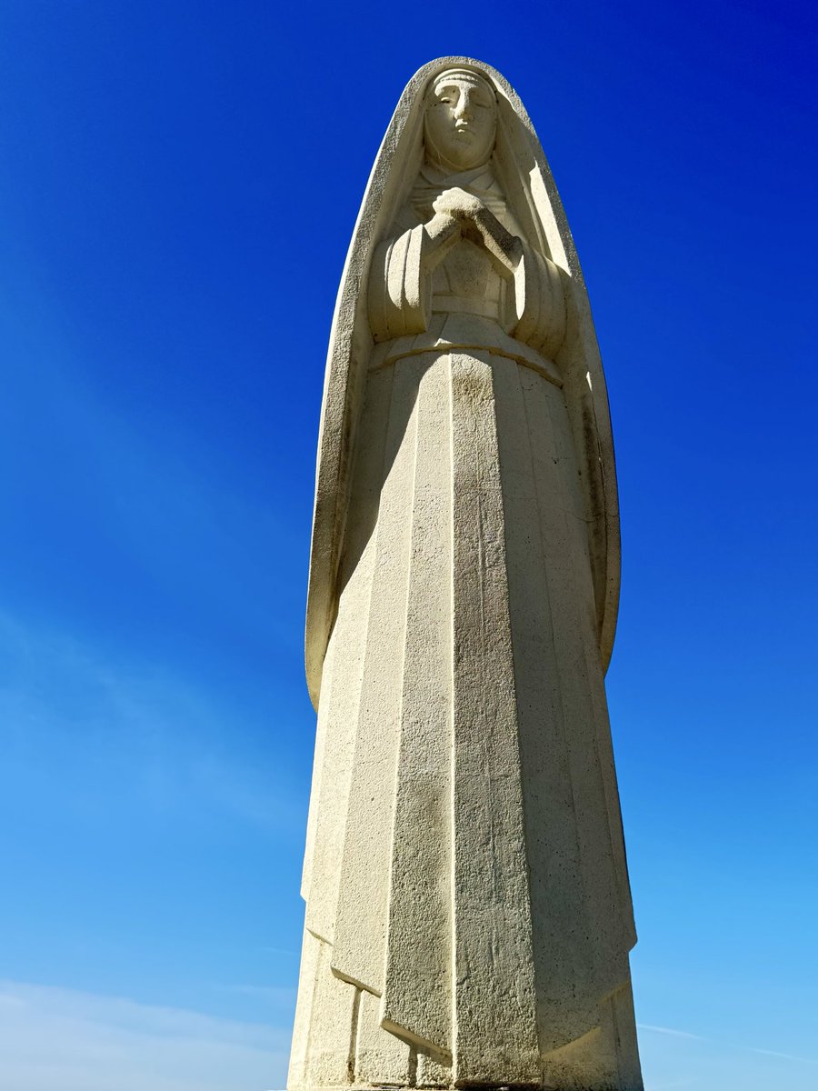 Tom Hall ☘️ tweet media