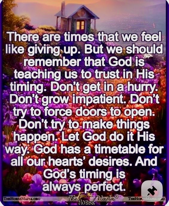 sallyalimagno's tweet photo. Happy Lord's Day to everyone.  God Bless❤️🙏 https://t.co/tlyjLPRpjS