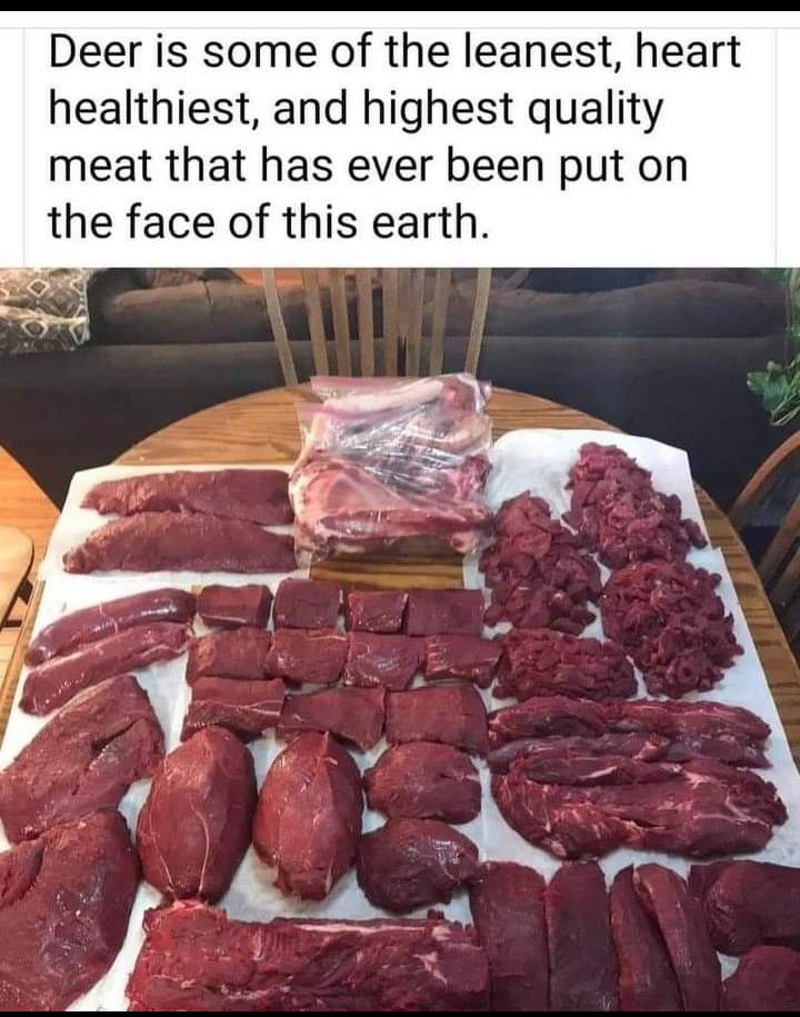 Farrell Ross I FOLLOW BACK tweet media