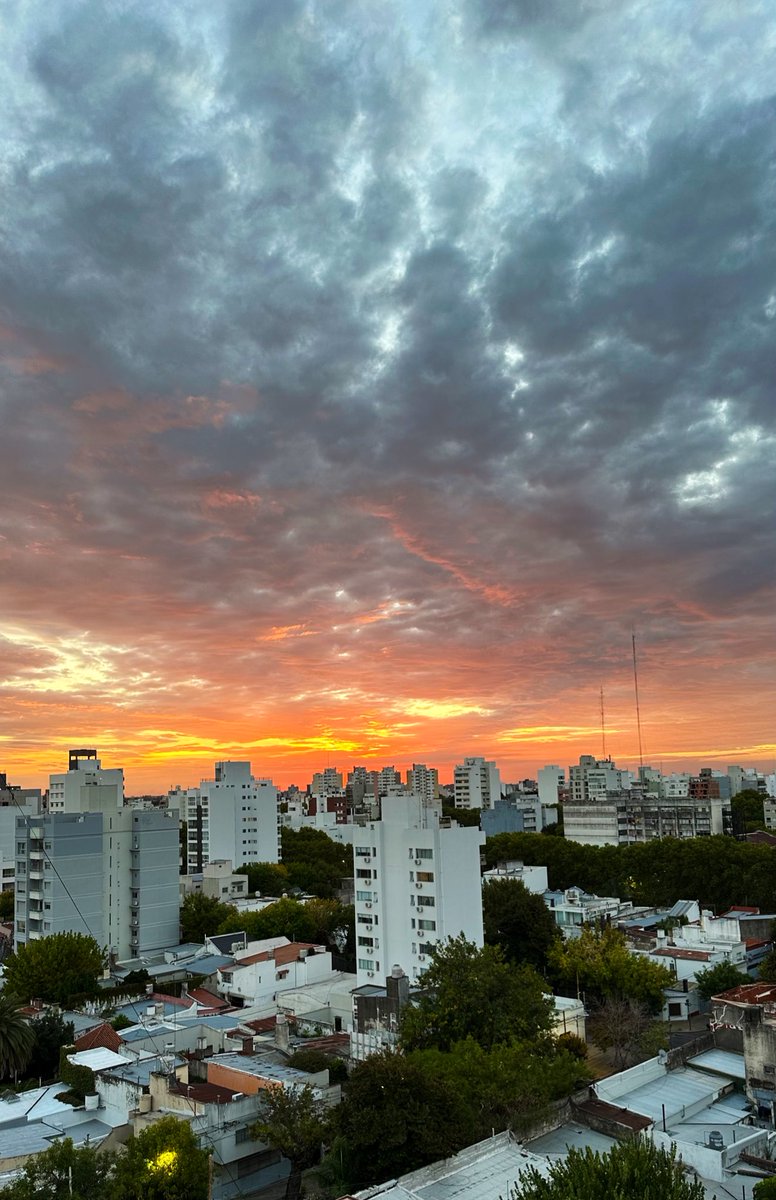 Andre 🐣 tweet media