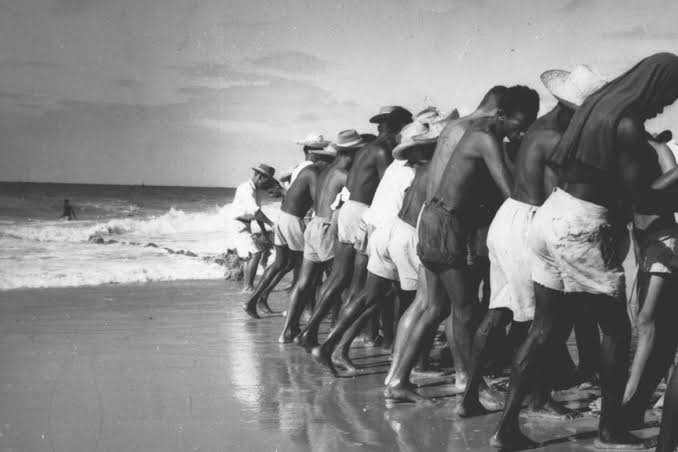 CineLivre L.A. (Latino-Americano) 🇵🇸 tweet media