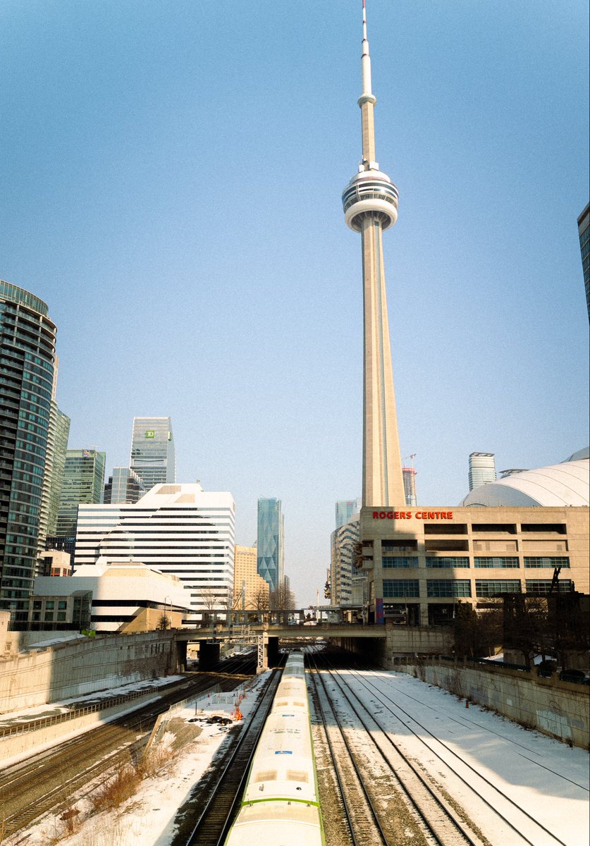 Cody Willis 🇨🇦 tweet media