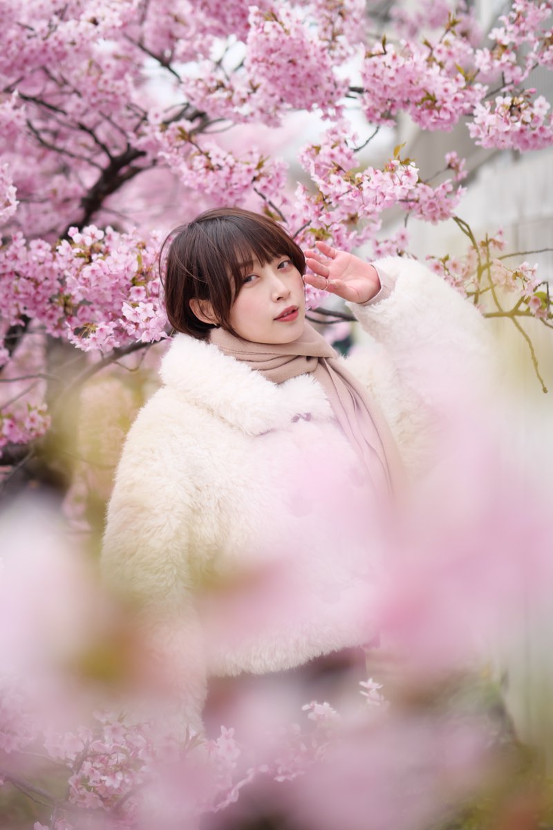 モデル ふたばさん：
<a href="/futabaizaaa/">ふたば</a>

#ポートレート 
#京都 
#淀 
#河津桜