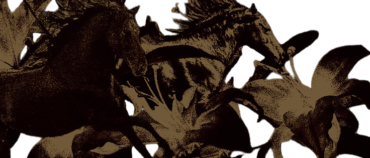 𝔩𝔦𝔩𝔩𝔶 𝓢𝔸ℕ𝔻 𓌜 ⚔︎ tweet media