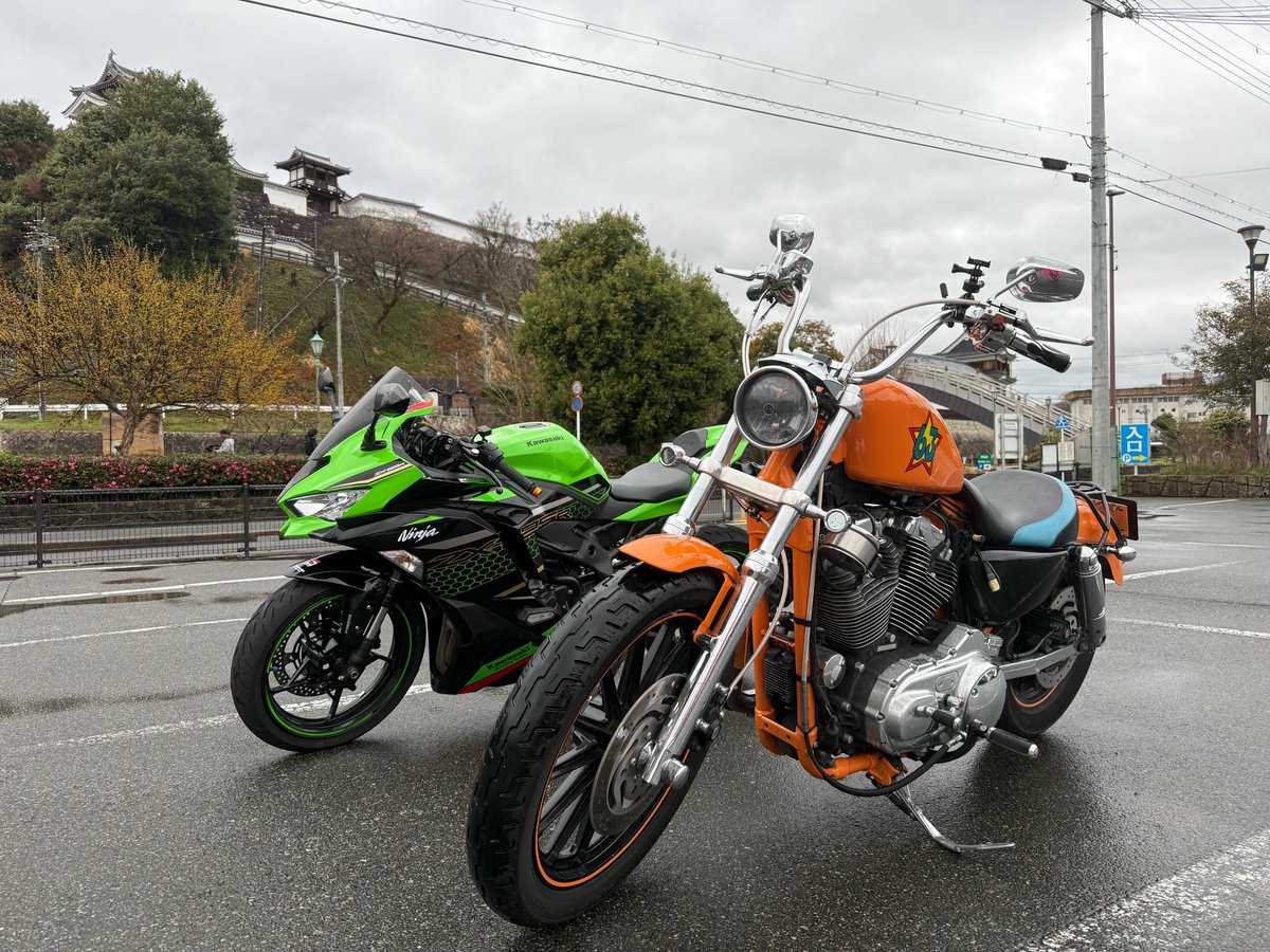 トモチン★ tweet media