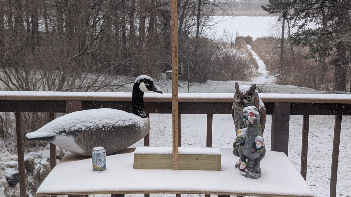 Bill Doms tweet media