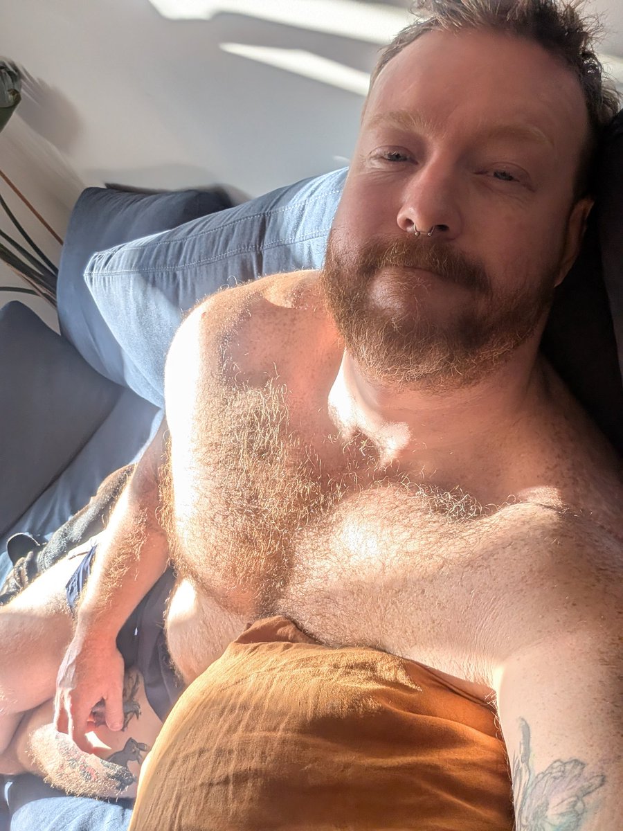 NorthsideGiant86 tweet media