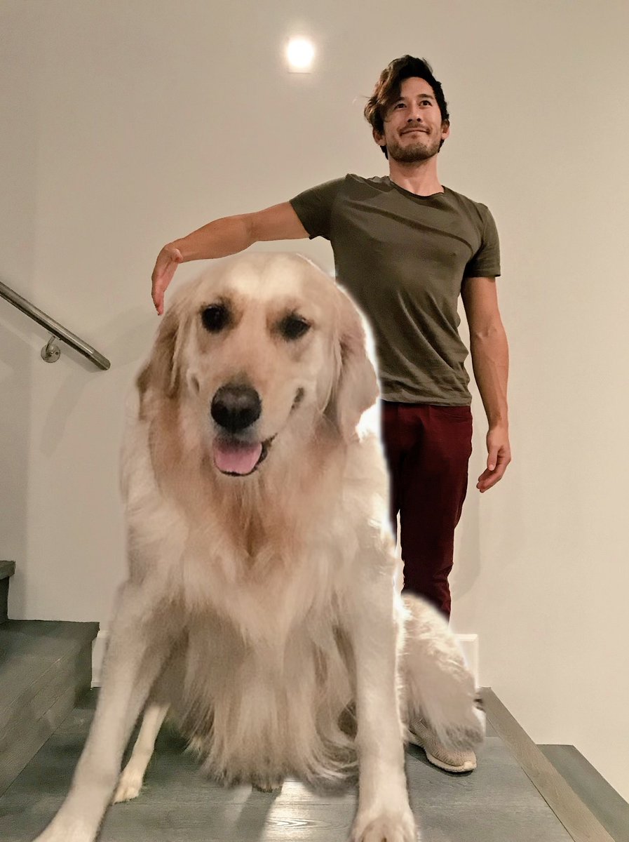 saisharoha's tweet photo. @markiplier https://t.co/INOit0aExD