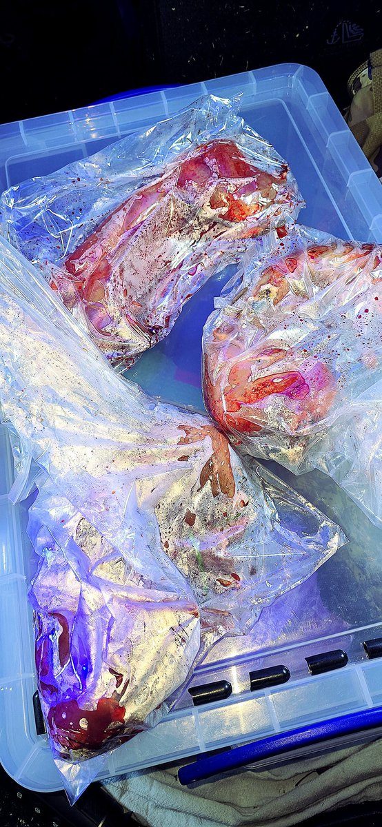 Under- dog tweet media