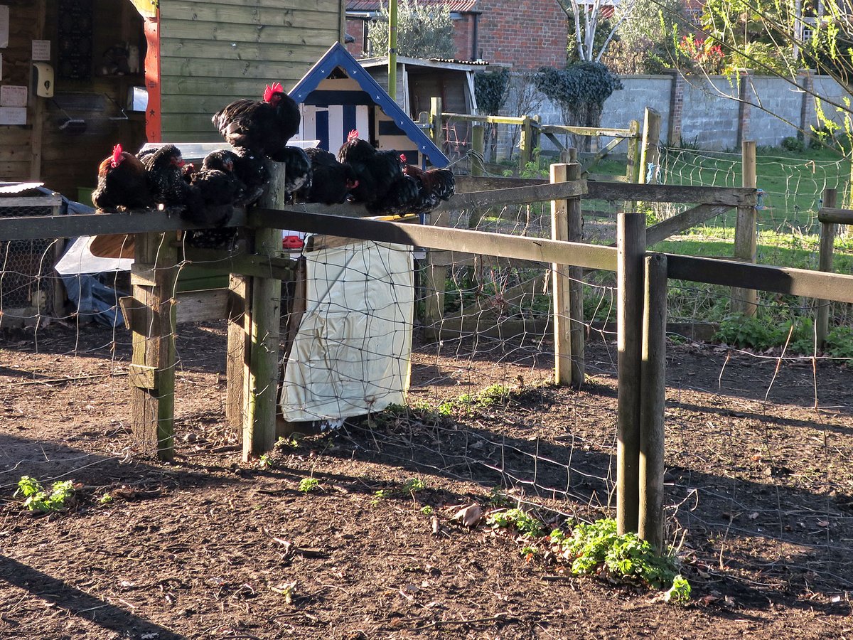 Scullridge tweet media