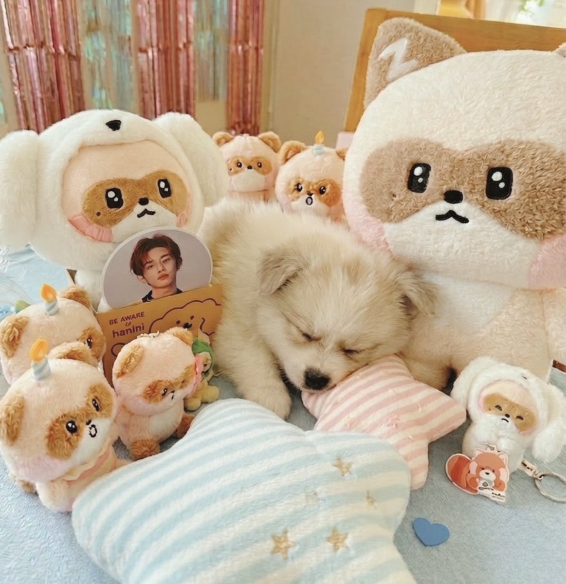 ハニニ