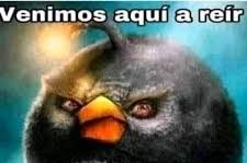 ITD | Uy tweet media