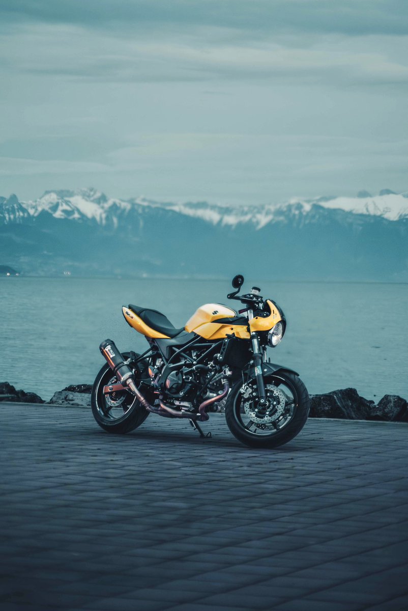 pot12790817's tweet photo. #sv650 #sv650x #suzuki https://t.co/wYZU2vpySI