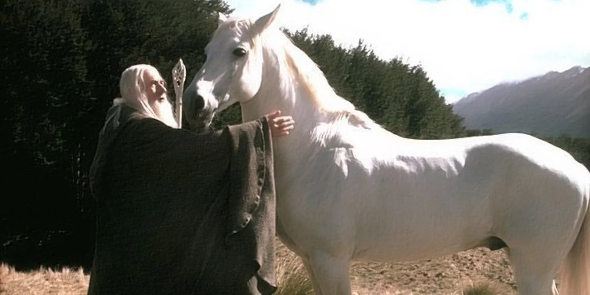 "Shadowfax. He's the lord of all horses and was a Collector's Edition preorder bonus"