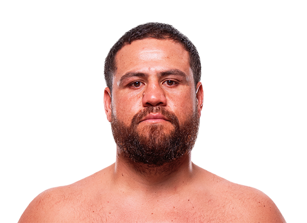 UFC Fight Tracker tweet media