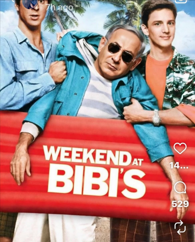 HighImpactFlix tweet media