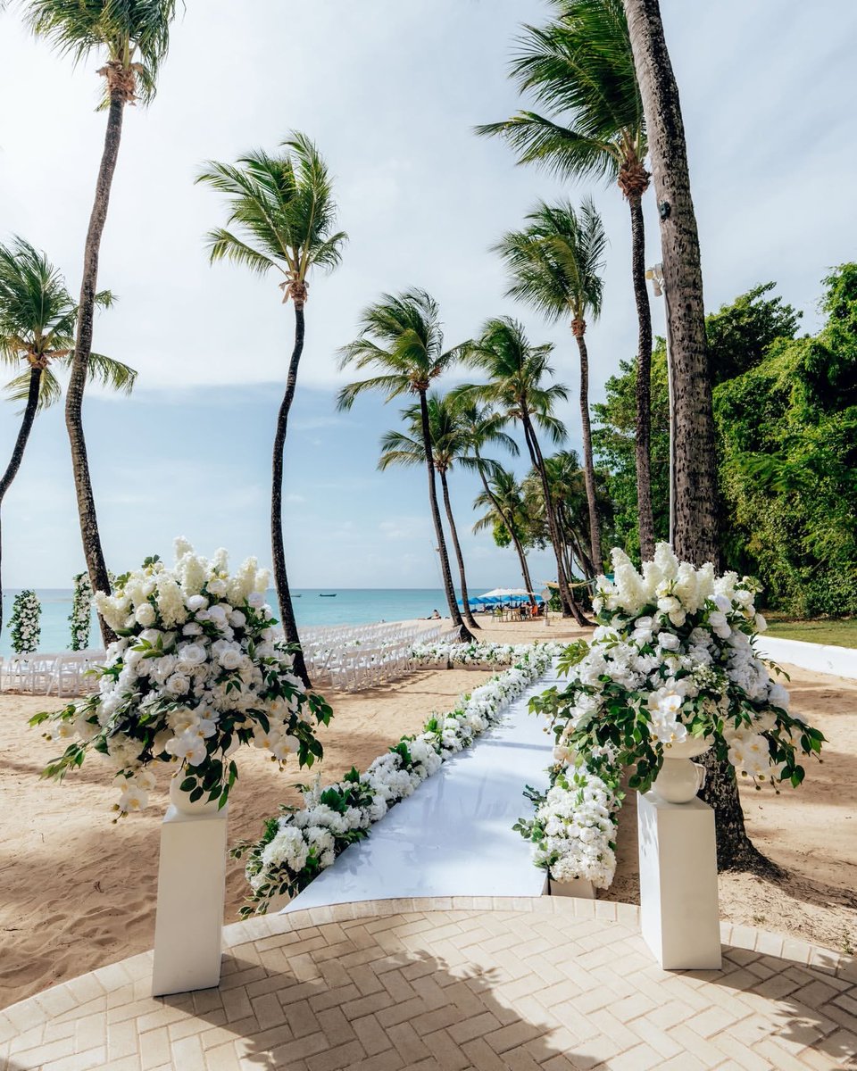 Barbados's tweet image. Your forever begins here.🇧🇧✨
Imagine exchanging vows with turquoise waters behind you and the warm island breeze all around. That is the magic of getting married in Barbados.

📸: @fairmontroyalpavillion, thanks for sharing!

#MyBarbados #LoveBarbados #VisitBarbados #IsleDo