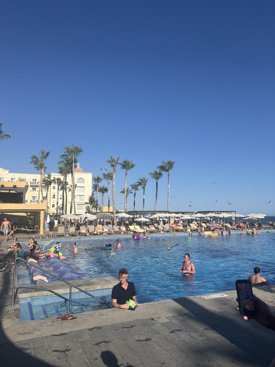 David Kingston tweet media