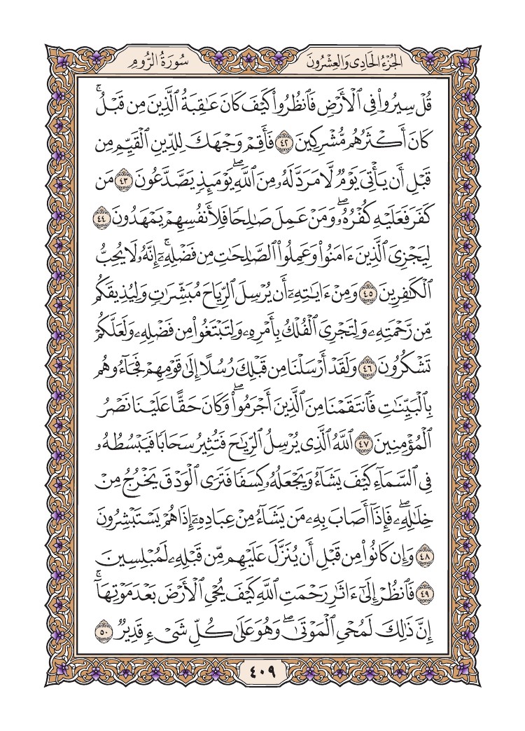 سورة الروم     
الصفحة 409