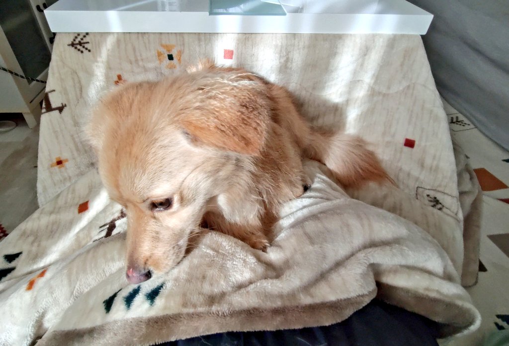 おキャノ坊🤪 tweet media