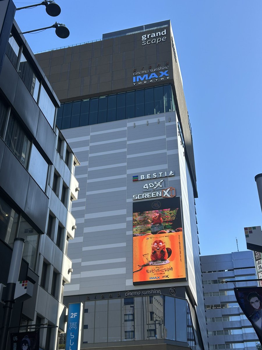 渡津海基希 tweet media