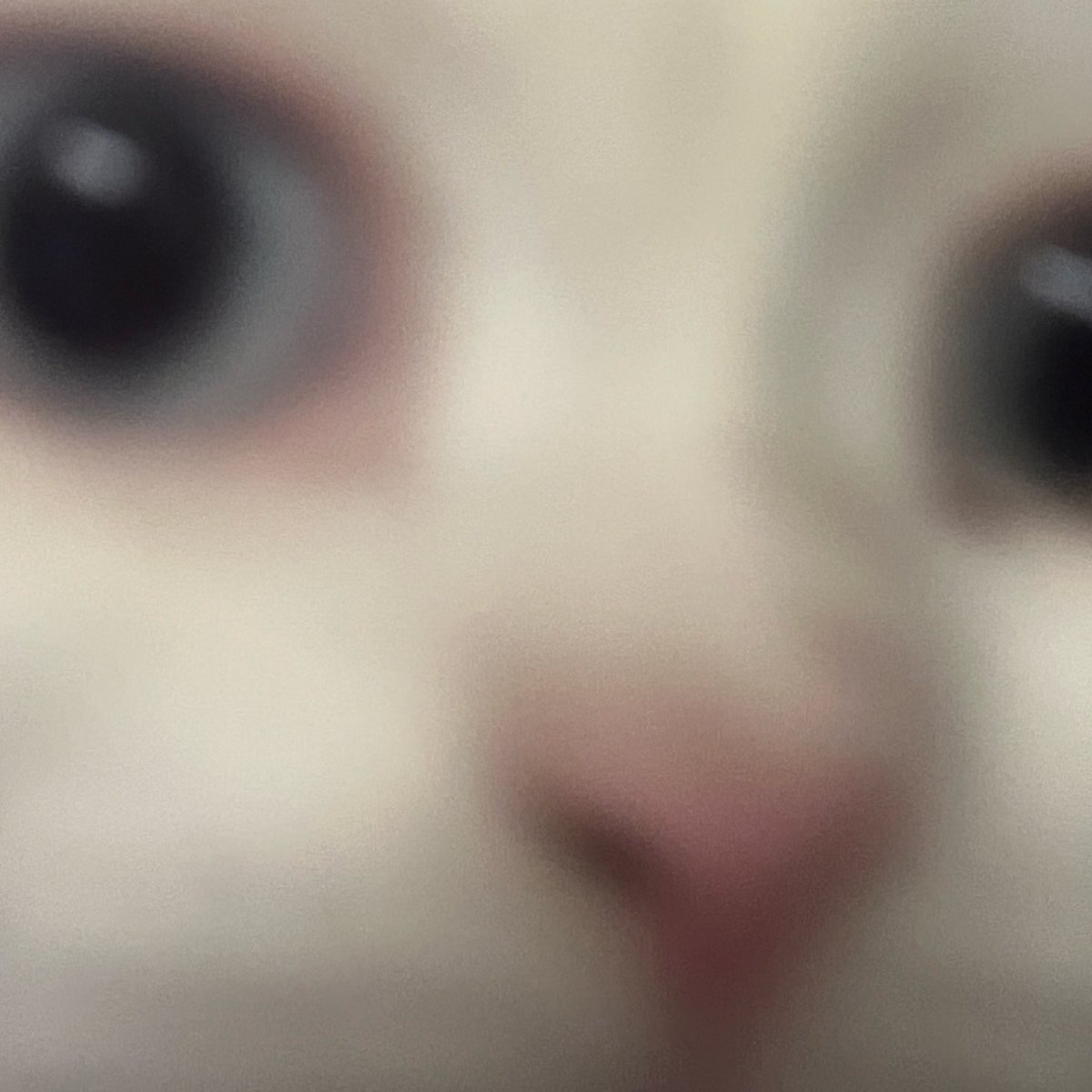 bu twit onune dustuyse seni opmeye geliyoooo