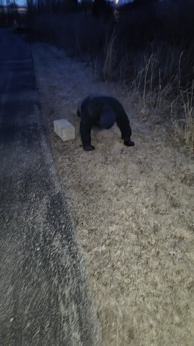 F3 Appleton tweet media