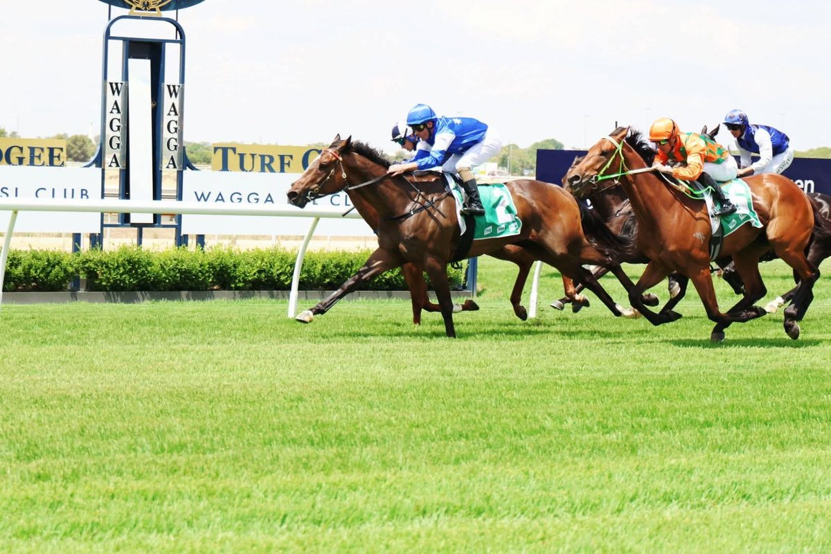 Weeding Racing tweet media