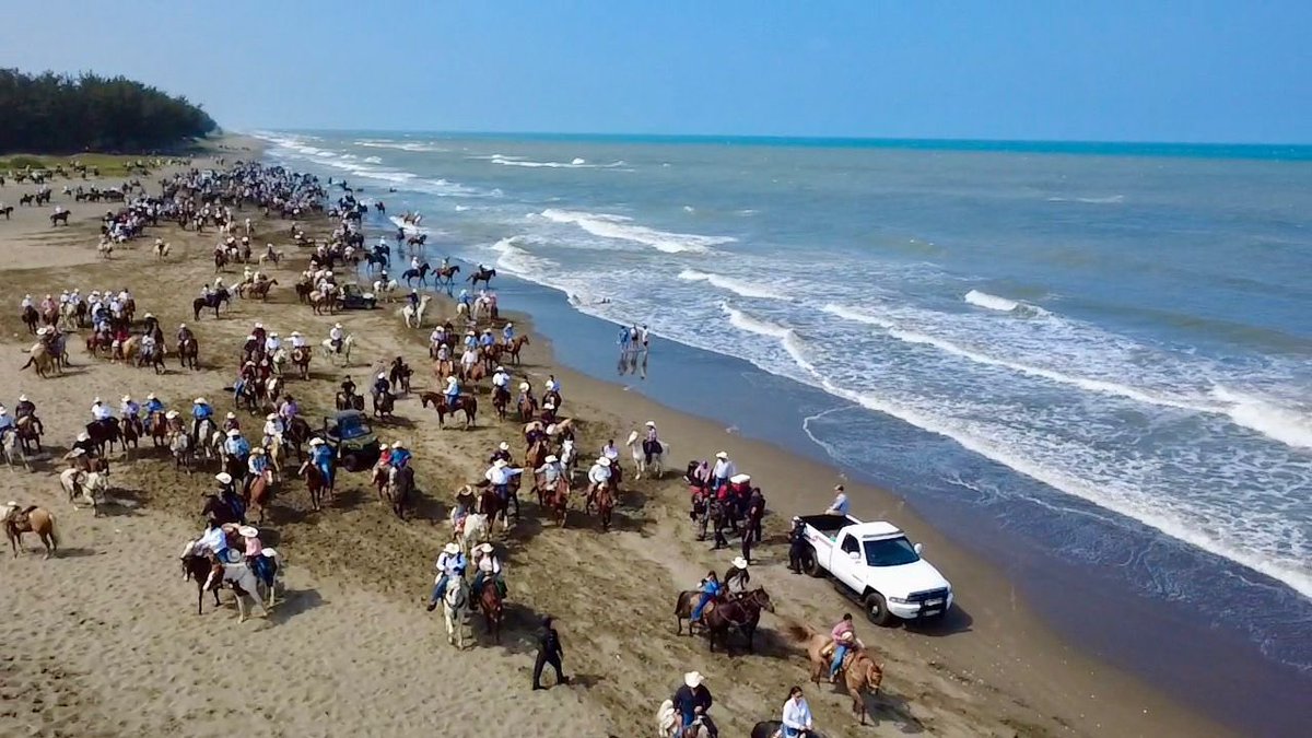 Congreso de Veracruz tweet media