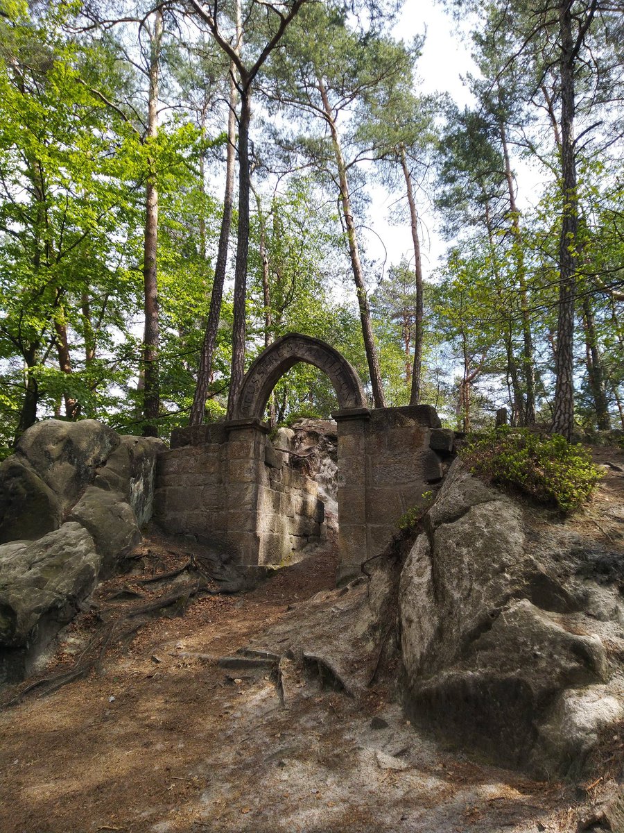 bury me under a pine tree tweet media