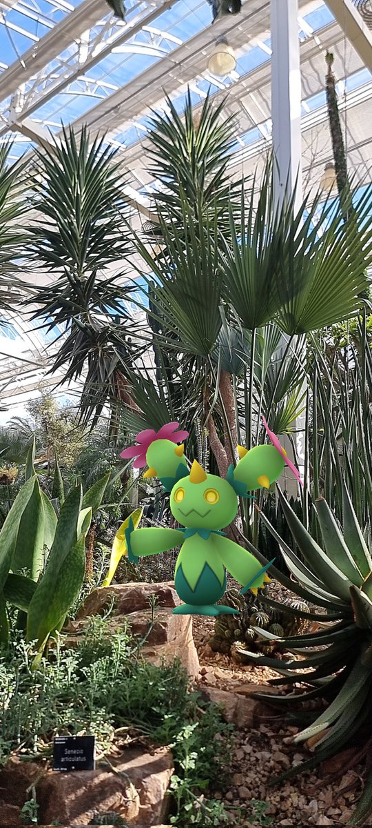 Canny_Lad tweet media