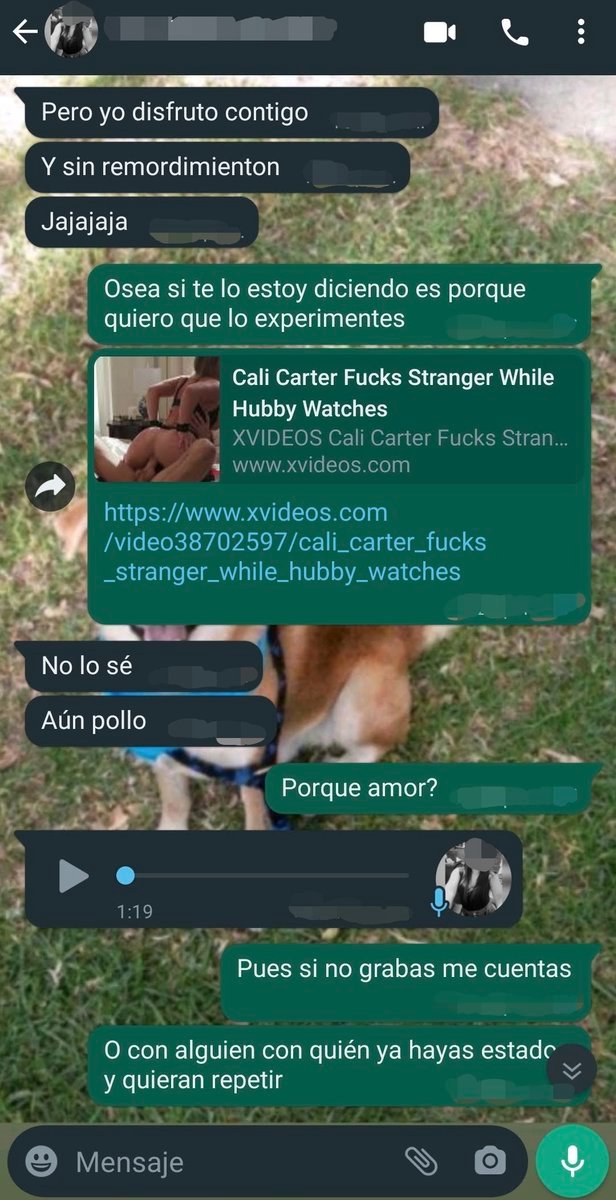 MENSAJES CUCKOLD (aportes solo por telegram) tweet media