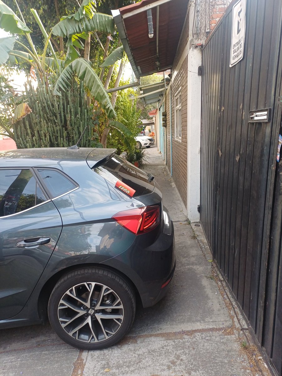 Señora que camina tweet media