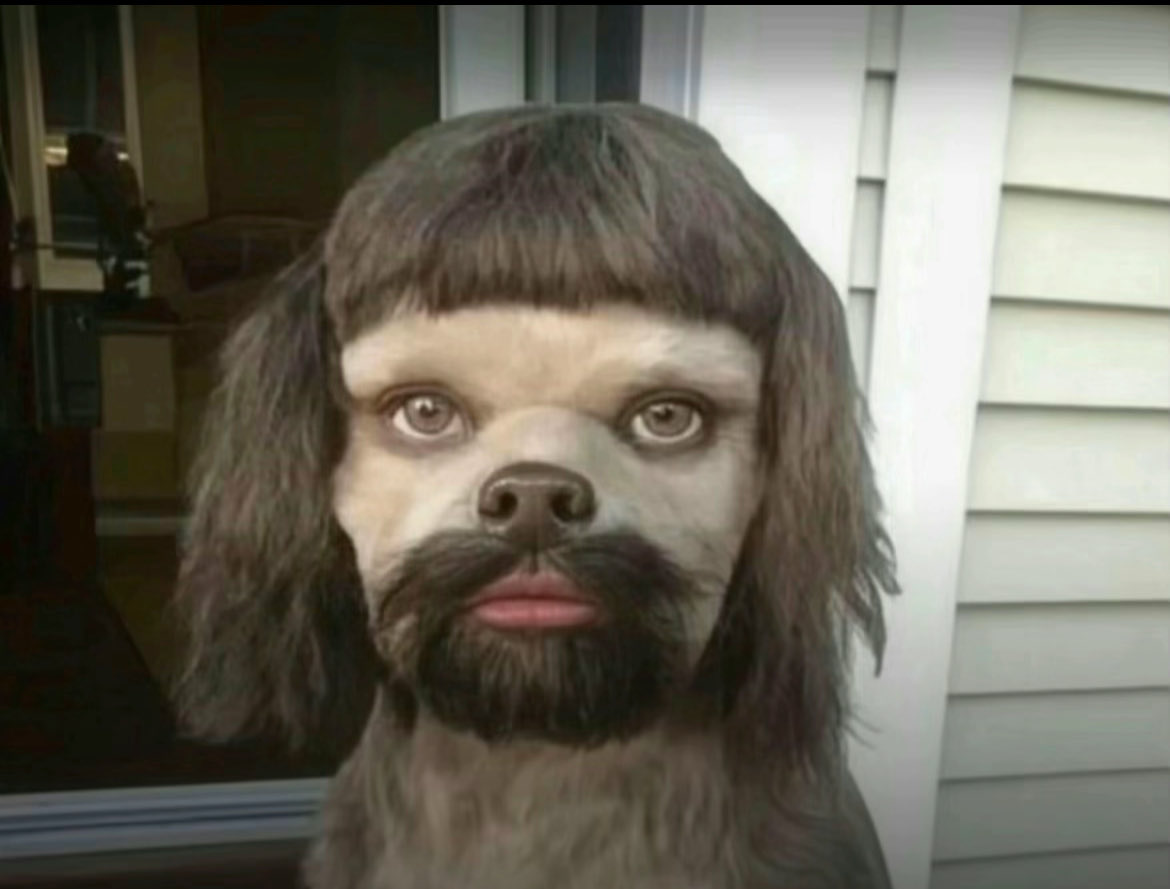 galaxykitty8008 tweet media